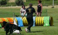 IMG_moosen-10-06-2017-K3Large242
