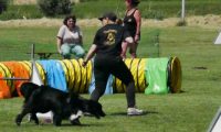 IMG_moosen-10-06-2017-K3Large243