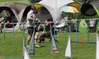 IMG_moosen-10-06-2017-K3Large244