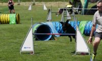 IMG_moosen-10-06-2017-K3Large245
