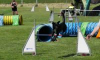 IMG_moosen-10-06-2017-K3Large246