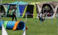 IMG_moosen-10-06-2017-K3Large251