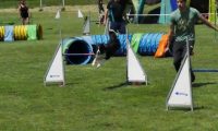 IMG_moosen-10-06-2017-K3Large253