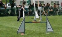 IMG_moosen-10-06-2017-K3Large257