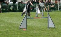IMG_moosen-10-06-2017-K3Large258