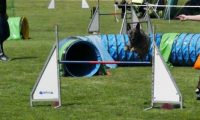 IMG_moosen-10-06-2017-K3Large262