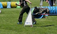 IMG_moosen-10-06-2017-K3Large264