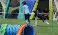 IMG_moosen-10-06-2017-K3Large267
