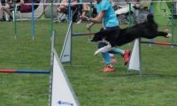 IMG_moosen-10-06-2017-K3Large270
