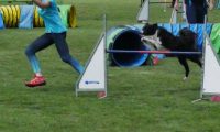 IMG_moosen-10-06-2017-K3Large271