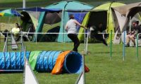 IMG_moosen-10-06-2017-K3Large275