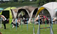 IMG_moosen-10-06-2017-K3Large276