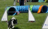 IMG_moosen-10-06-2017-K3Large280