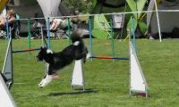 IMG_moosen-10-06-2017-K3Large282