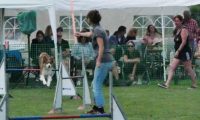 IMG_moosen-10-06-2017-K3Large284