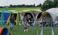 IMG_moosen-10-06-2017-K3Large285