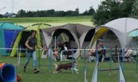 IMG_moosen-10-06-2017-K3Large286