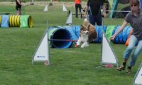 IMG_moosen-10-06-2017-K3Large287