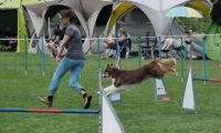 IMG_moosen-10-06-2017-K3Large289