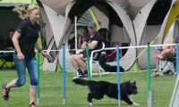 IMG_moosen-10-06-2017-K3Large293