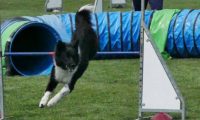 IMG_moosen-10-06-2017-K3Large295