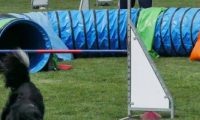 IMG_moosen-10-06-2017-K3Large296