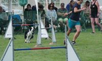 IMG_moosen-10-06-2017-K3Large300