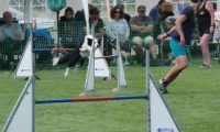 IMG_moosen-10-06-2017-K3Large301