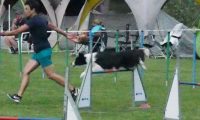 IMG_moosen-10-06-2017-K3Large303