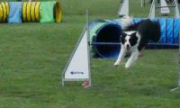 IMG_moosen-10-06-2017-K3Large304