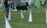 IMG_moosen-10-06-2017-K3Large306