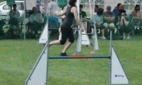 IMG_moosen-10-06-2017-K3Large307