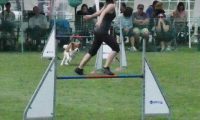IMG_moosen-10-06-2017-K3Large308