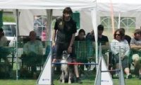 IMG_moosen-10-06-2017-K3Large314