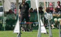 IMG_moosen-10-06-2017-K3Large316