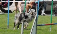 IMG_moosen-10-06-2017-K3Large319