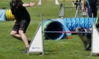 IMG_moosen-10-06-2017-K3Large322