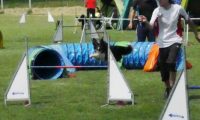 IMG_moosen-10-06-2017-K3Large325