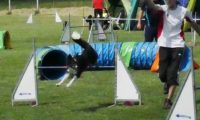 IMG_moosen-10-06-2017-K3Large326
