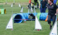 IMG_moosen-10-06-2017-K3Large330