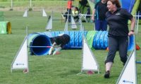 IMG_moosen-10-06-2017-K3Large331
