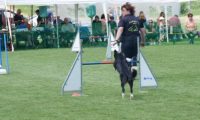 IMG_moosen-10-06-2017-K3Large332