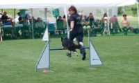 IMG_moosen-10-06-2017-K3Large333
