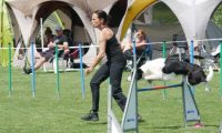 IMG_moosen-10-06-2017-K3Large337