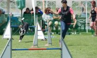 IMG_moosen-10-06-2017-K3Large341