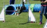 IMG_moosen-10-06-2017-K3Large344