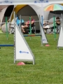 IMG_moosen-10-06-2017-K3Large018 IMG_moosen-10-06-2017-K3Large018