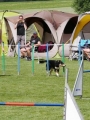 IMG_moosen-10-06-2017-K3Large024