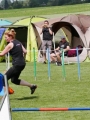 IMG_moosen-10-06-2017-K3Large027