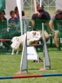 IMG_moosen-10-06-2017-K3Large030